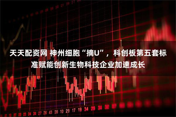 天天配资网 神州细胞“摘U”，科创板第五套标准赋能创新生物科技企业加速成长
