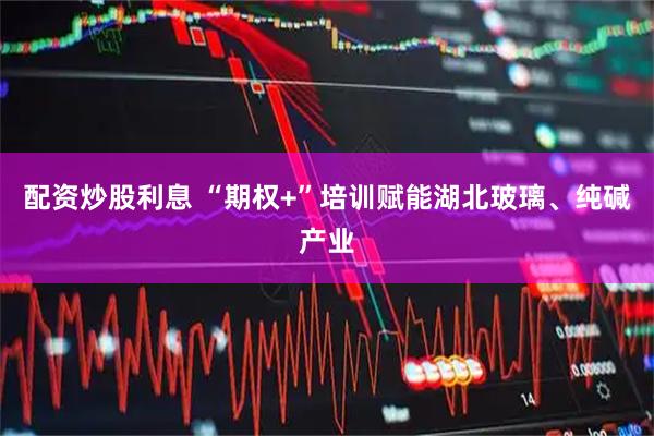 配资炒股利息 “期权+”培训赋能湖北玻璃、纯碱产业