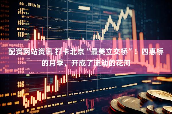 配资网站资讯 打卡北京“最美立交桥”！四惠桥的月季，开成了流动的花河